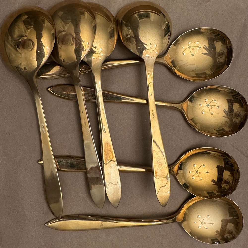 Dirilyte Soup Spoon Set